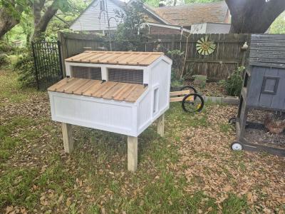 4x4x3 chicken coop - Thumbnail 12