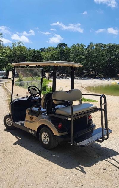 2019 YAHAMA DRIVE 2  48 VOLT GOLF CART - Thumbnail 6