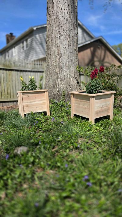 Cedar planters