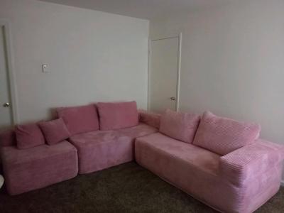 pink cloud sectional