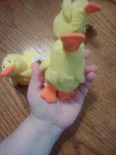 beanie babies - Thumbnail 10