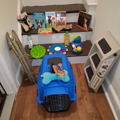 Complete Small Dog Starter Bundle  21 Crate LED Harness Pet