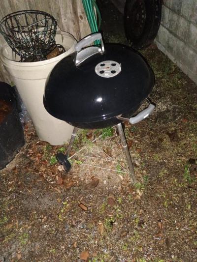 yard landscape decor