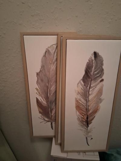 Never Used Feather Oil painting Wall Pictures Set of 3