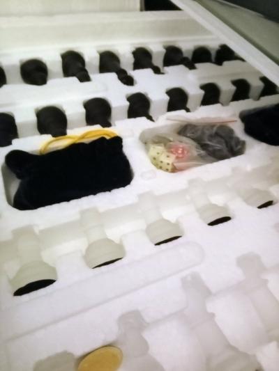 95 Piece 3 1 Game Set - Thumbnail 9