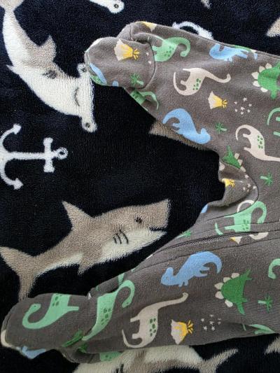 Dino sleeper - Thumbnail 4