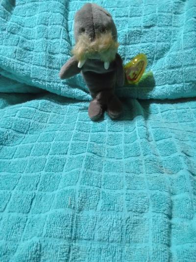 beanie babies - Thumbnail 8