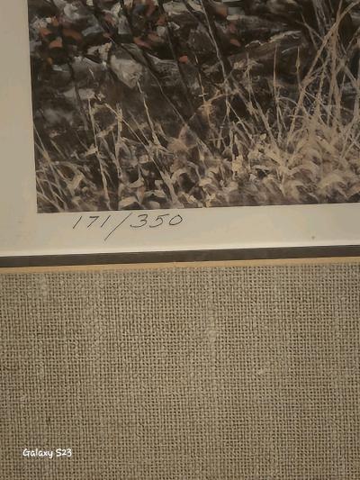 Covey of Quail near a Stone WallM Wayne Willis 19141991 your - Thumbnail 2