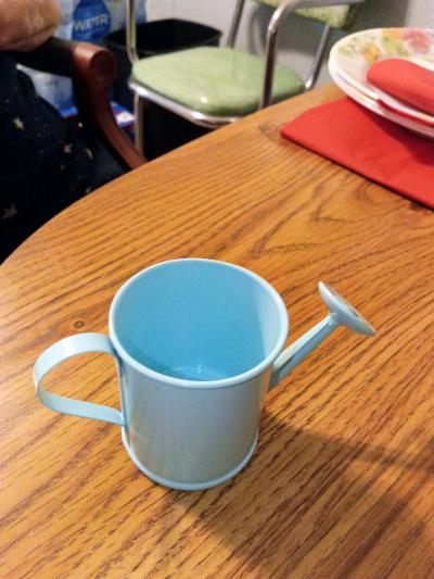 watering can decor - Thumbnail 3