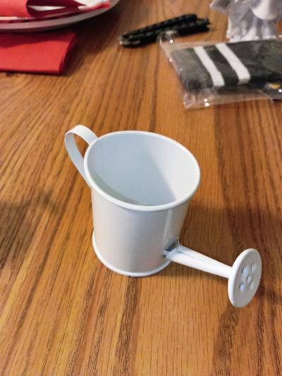 watering can decor - Thumbnail 2