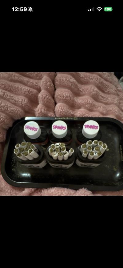 dranks and seeds hmu if you need lmk - Thumbnail 2