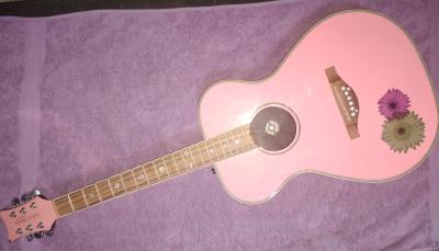 Pink daisy rock guitar