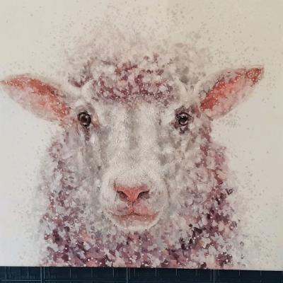 Baa baa Sheep - Thumbnail 3