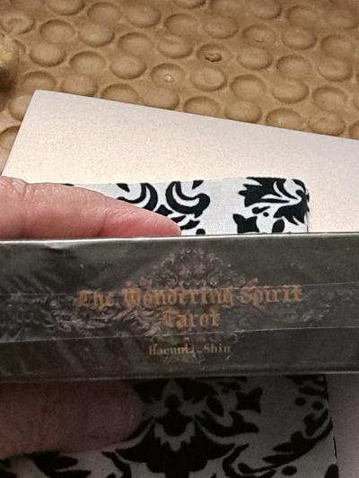 The Wondering Spirit Tarot - Thumbnail 2