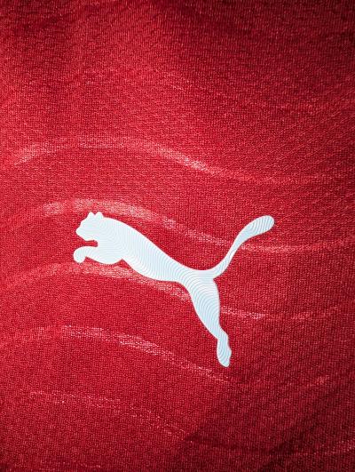Jersey Portugal Mundial 2026 Talla M Premium Nuevo - Thumbnail 5