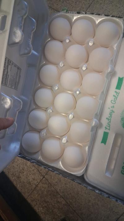 18 egg large