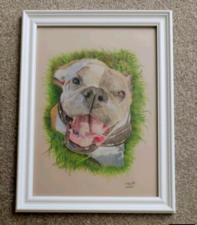 custom pets portraits - Thumbnail 11
