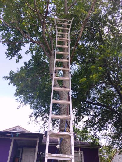 22 ft adjustable ladder - Thumbnail 4