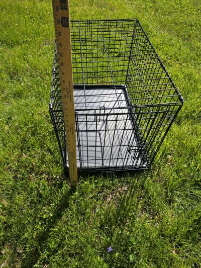 Folding Medium Black Metal Dog Cage - Thumbnail 4