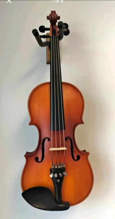 Viola