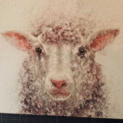 Baa baa Sheep - Thumbnail 4