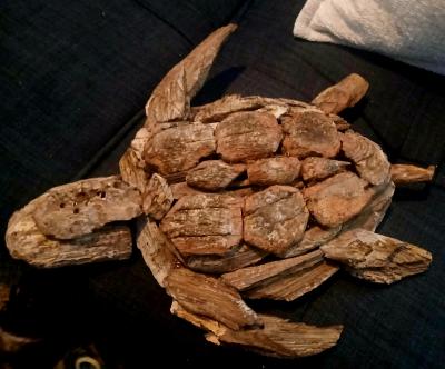 driftwood turtle - Thumbnail 2
