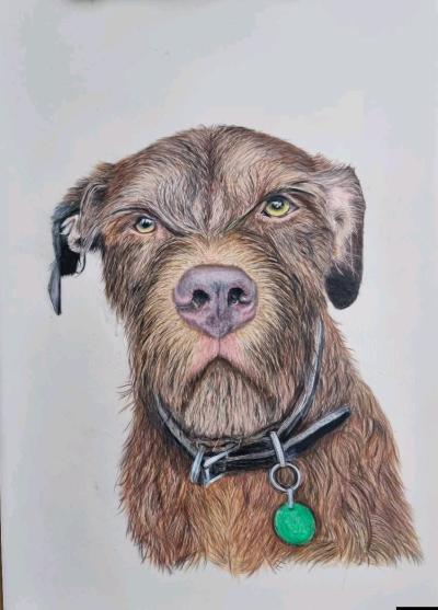 custom pets portraits