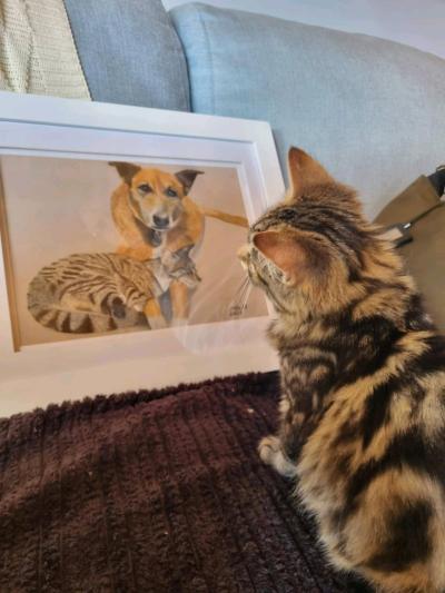 custom pets portraits - Thumbnail 8