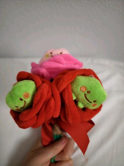 Frog Plushie rose bouquet - Thumbnail 5