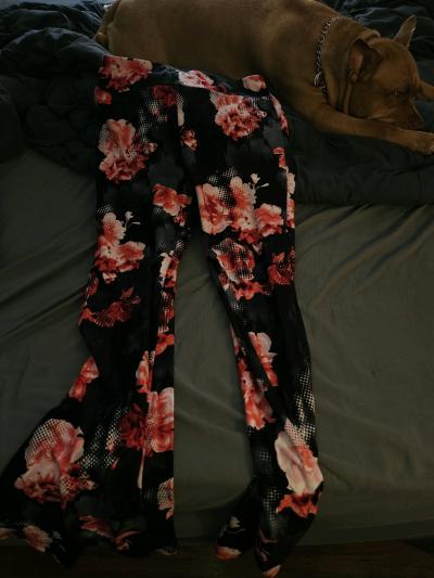 pants