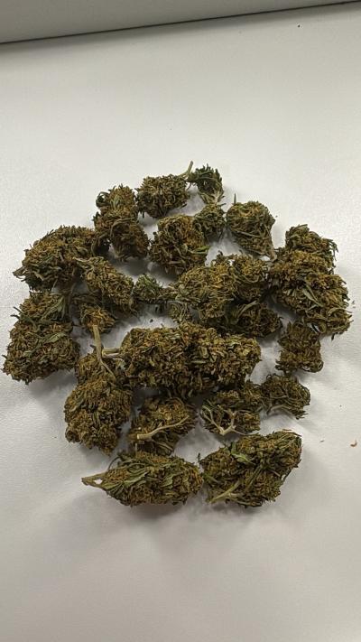 lmk I got seeds and all that just hmu - Thumbnail 2