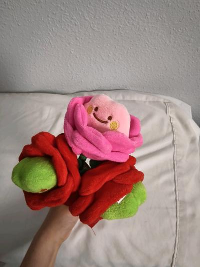 Frog Plushie rose bouquet - Thumbnail 2