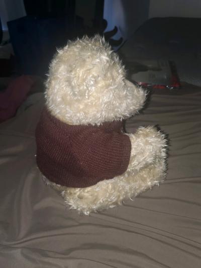 VINTAGE HERSHEY BEAR - Thumbnail 2
