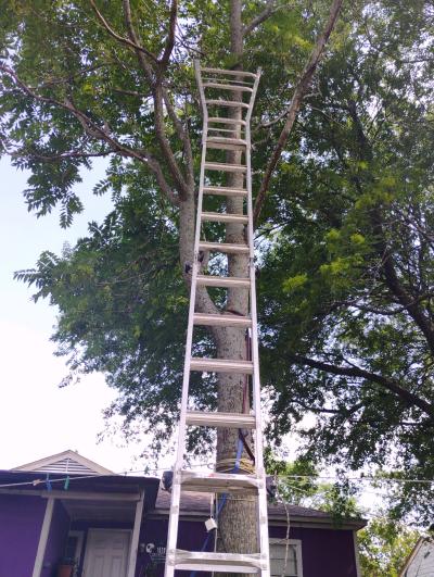 22 ft adjustable ladder - Thumbnail 3