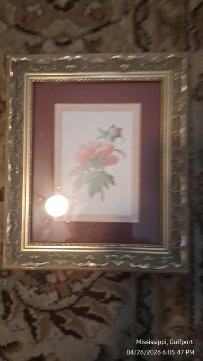 One large picture and four medium pictures in picture frames - Thumbnail 2