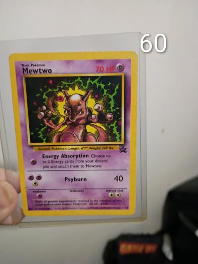 Pokemon cards in protector sleeves New
