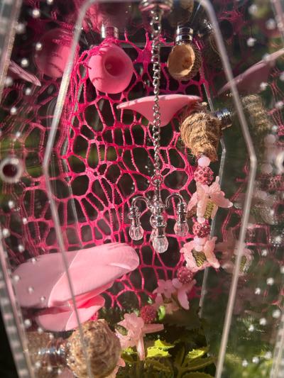 Pink Jumping spider Enclosure - Thumbnail 2