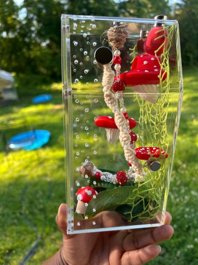 MushRoom Jumping Spider Enclosure Kit - Thumbnail 3