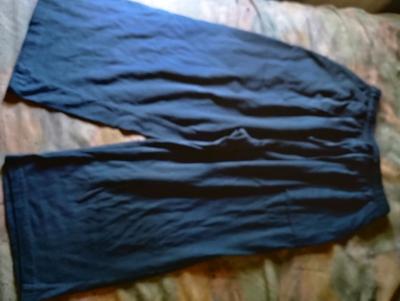 A  Nice Pair of Womens Blue Capris
