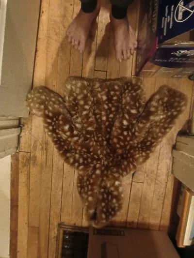 faux fur doe print brown and white