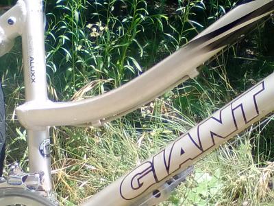 Giant Cypress cruiser Bike smoothest bike ride - Thumbnail 3