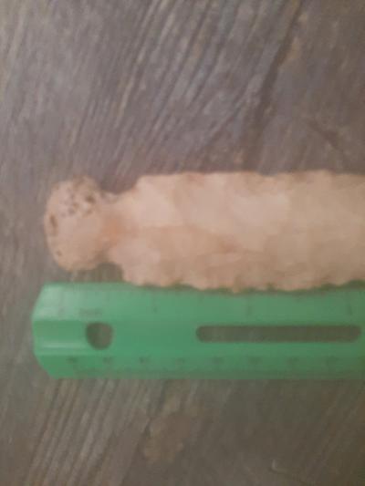 arrowheads - Thumbnail 4