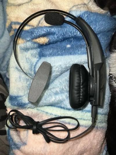BlueParrot Pro Headset