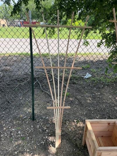 Fan garden trellis for climbing plants and cedar plan