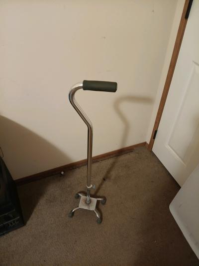Chrome Cane