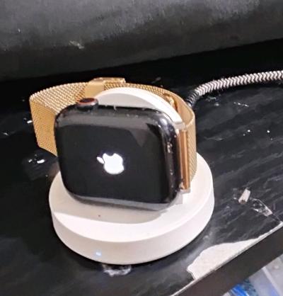 Apple Watch Series 8  45mm  GPS  LTE   Aluminum