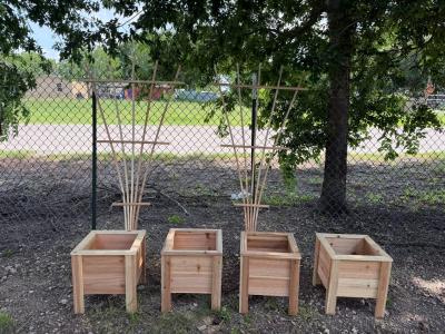 Fan garden trellis for climbing plants and cedar plan - Thumbnail 3