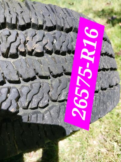 Tires for pick up in Alto MICHIGAN 49302 - Thumbnail 4