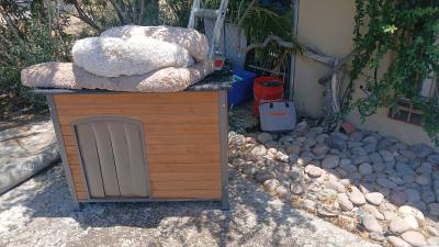 Wooden Outdoor Dog House with Metal frame