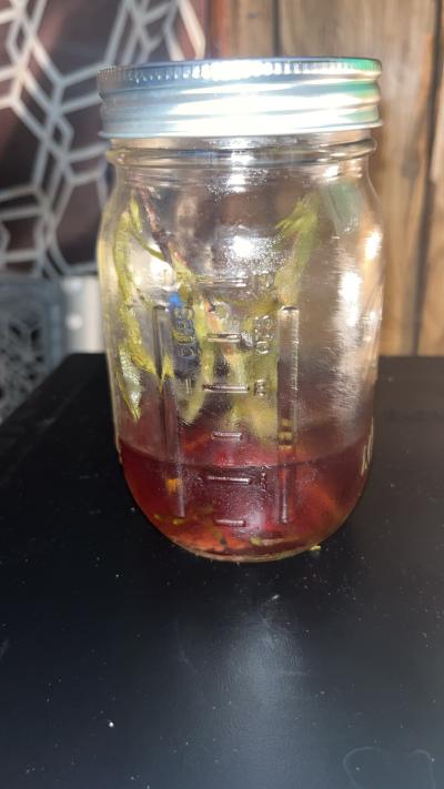 Handmade Rosemary Hair Water  Freshly Made  4 oz Spray Bottl